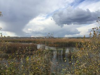I-41/43 interchange by the Ken Euers Nature Area